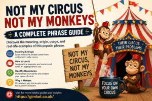 Not My Circus Not My Monkeys A Complete Phrase Guide